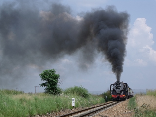 Reefsteamers 2010 007.jpg