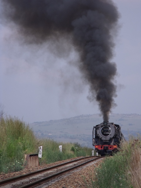 Reefsteamers 2010 003.jpg
