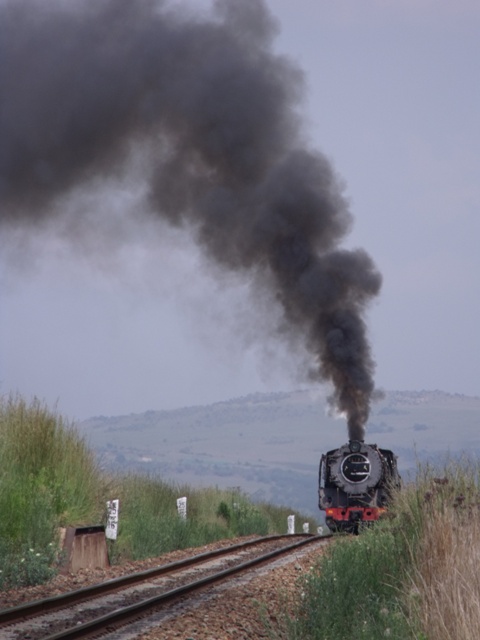 Reefsteamers 2010 001.jpg